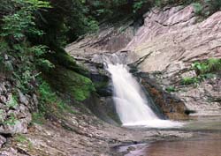 �����n�߂��̑�