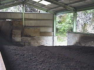 �o���オ�����͔�