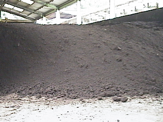 �ꃖ���������͔�