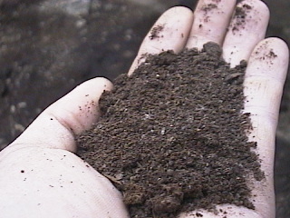 �L�C�͂��͂△��