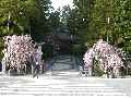 IMGP0644.JPG