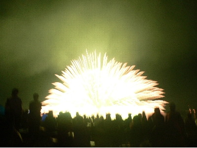 P1010229.JPG