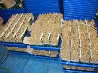 DSCN0854.JPG