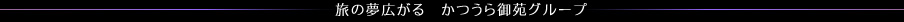 ̖L 䉑O[v
