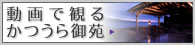 Ŋς邩䉑BMOVIE