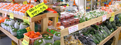 朝採れたての新鮮な野菜や果物ズラリと並びます。地場直販ならではの安価、生産者の顔が見える安心感を皆様にお届けします。