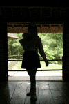 20040606101.gif (25151 oCg)