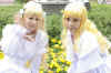20080419_16.JPG (130930 �o�C�g)