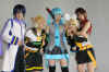 20081130_21.JPG (115689 �o�C�g)