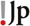 株式会社日本レジストリサービス（サイプレスはJPドメイン名の指定事業者です。）